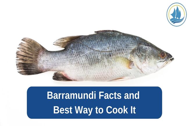 Barramundi Facts and Best Way to Cook It